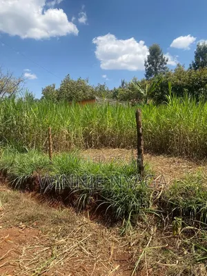 Land for Sale. 50×100 at Kenyatta Road, Juja (Gatundu Road).