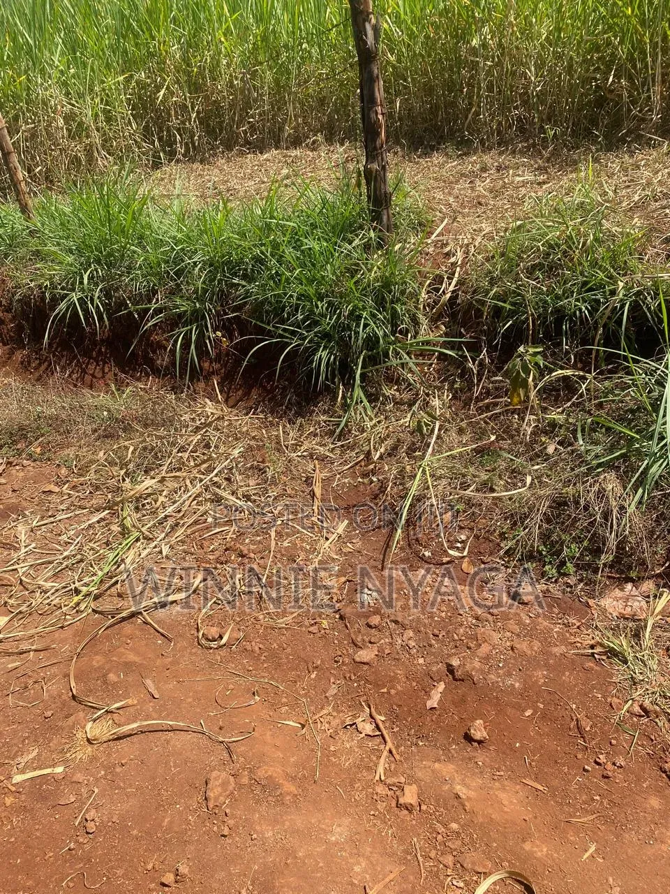 Land for Sale. 50×100 at Kenyatta Road, Juja (Gatundu Road).