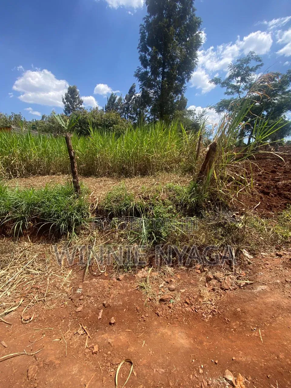 Land for Sale. 50×100 at Kenyatta Road, Juja (Gatundu Road).