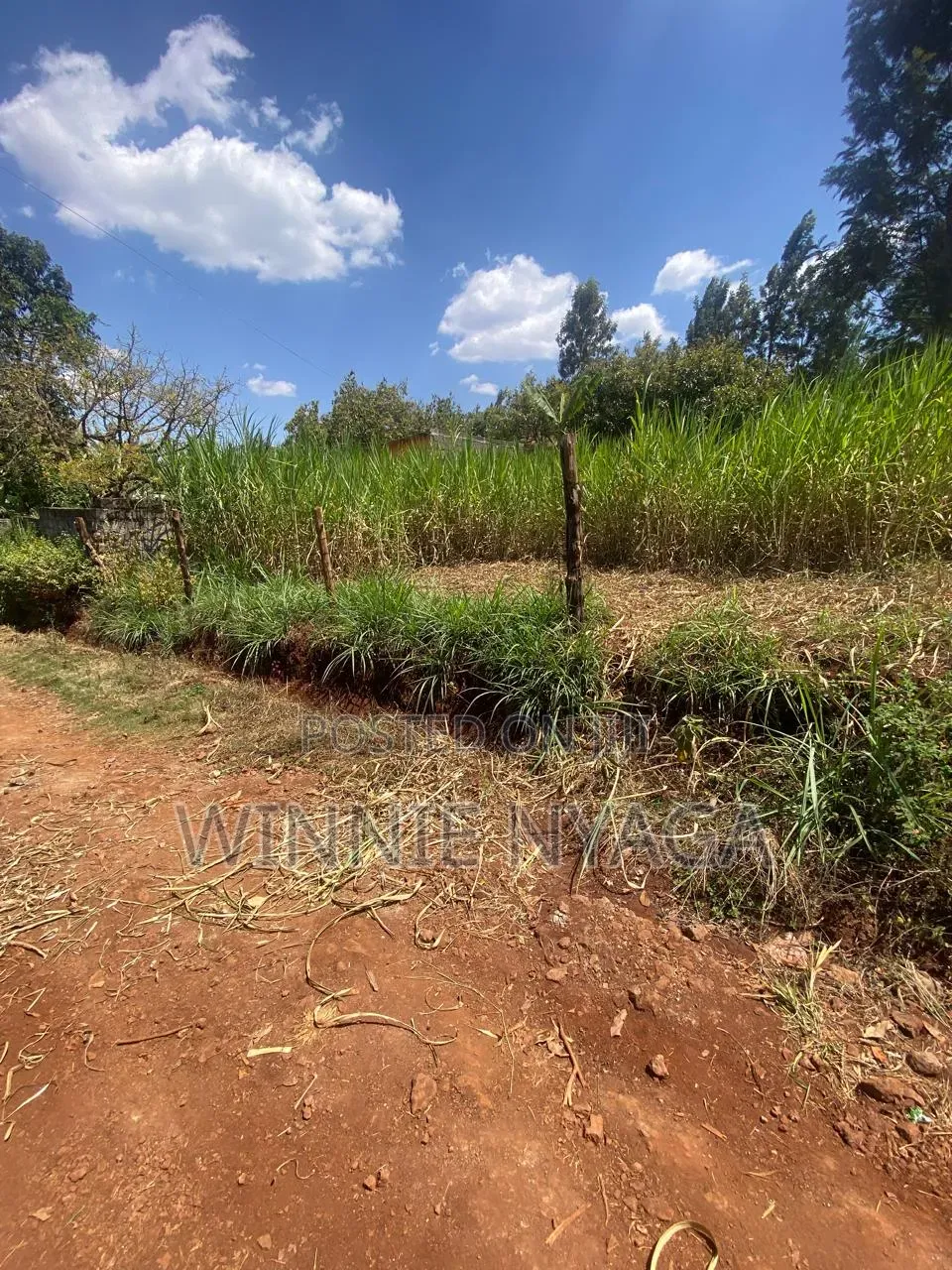 Land for Sale. 50×100 at Kenyatta Road, Juja (Gatundu Road).