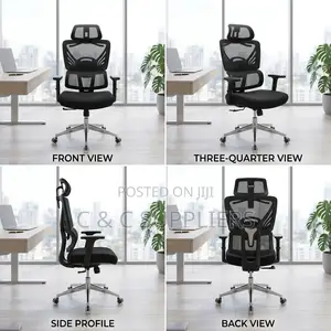 Executive Orthopedic Mesh Swivel Chair
