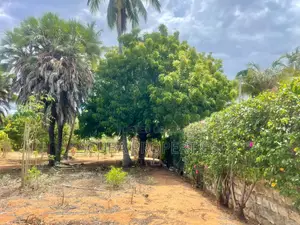 Prime Walled Half an Acre Plot for Sale in Watamu South Turtle Bay