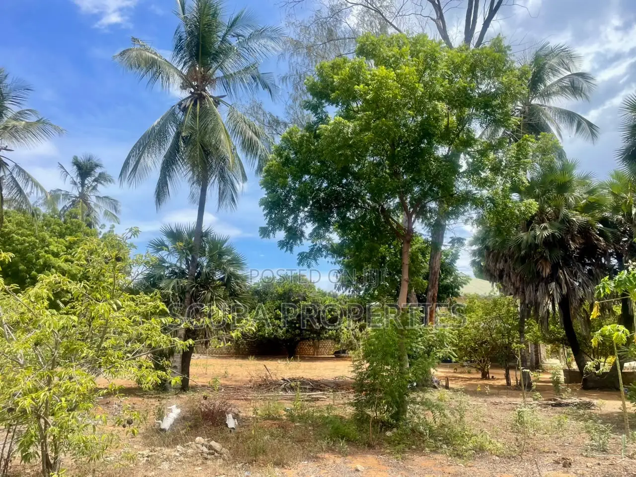 Prime Walled Half an Acre Plot for Sale in Watamu South Turtle Bay