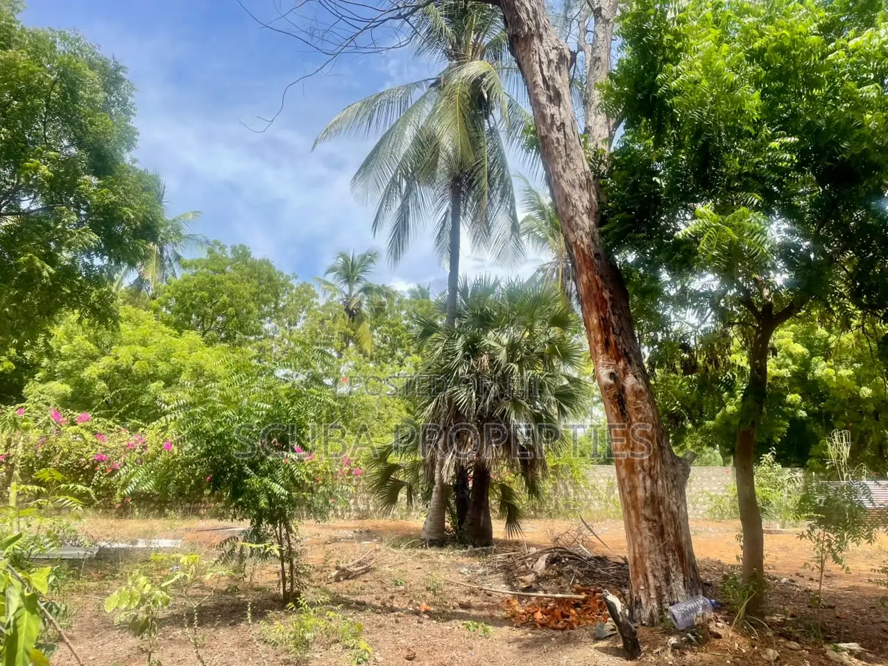 Prime Walled Half an Acre Plot for Sale in Watamu South Turtle Bay