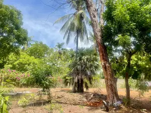 Prime Walled Half an Acre Plot for Sale in Watamu South Turtle Bay