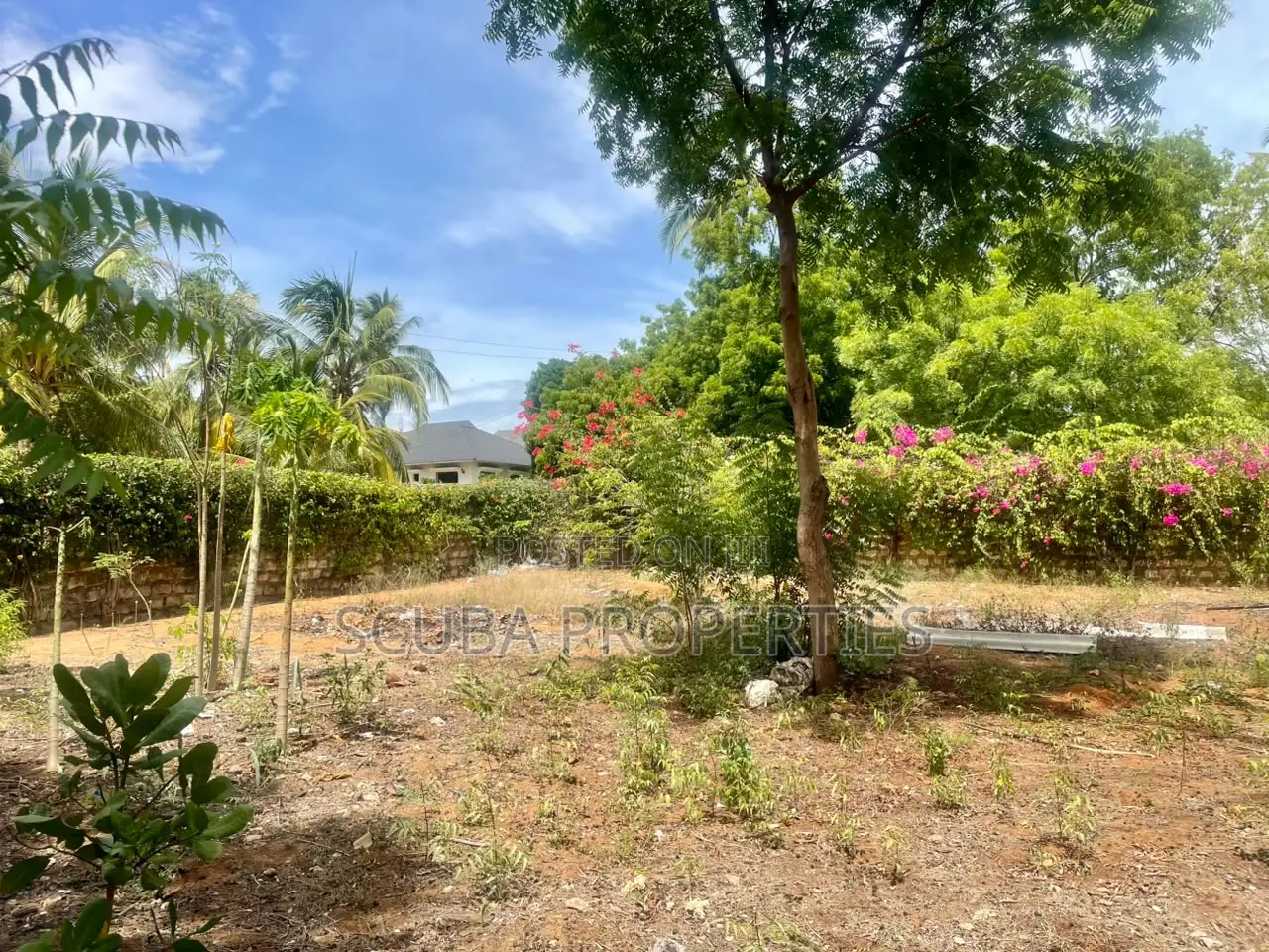 Prime Walled Half an Acre Plot for Sale in Watamu South Turtle Bay