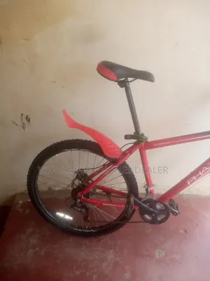 Apollo Phaze Mountain Bike