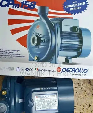 Pedrollo Water Pump 1hp/ CP158