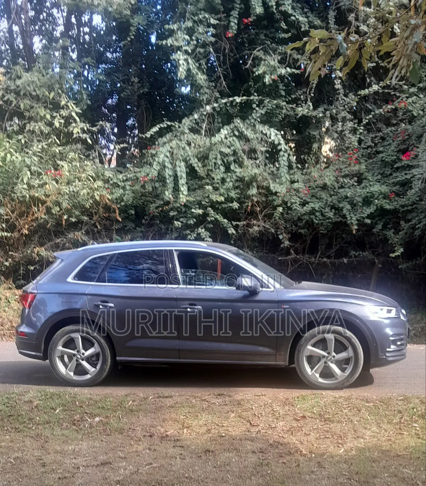 Audi Q5 2.0T Premium AWD quattro 2019 Gray