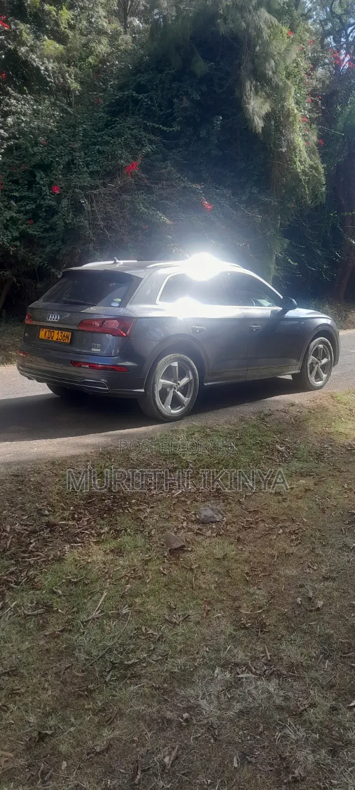 Audi Q5 2.0T Premium AWD quattro 2019 Gray