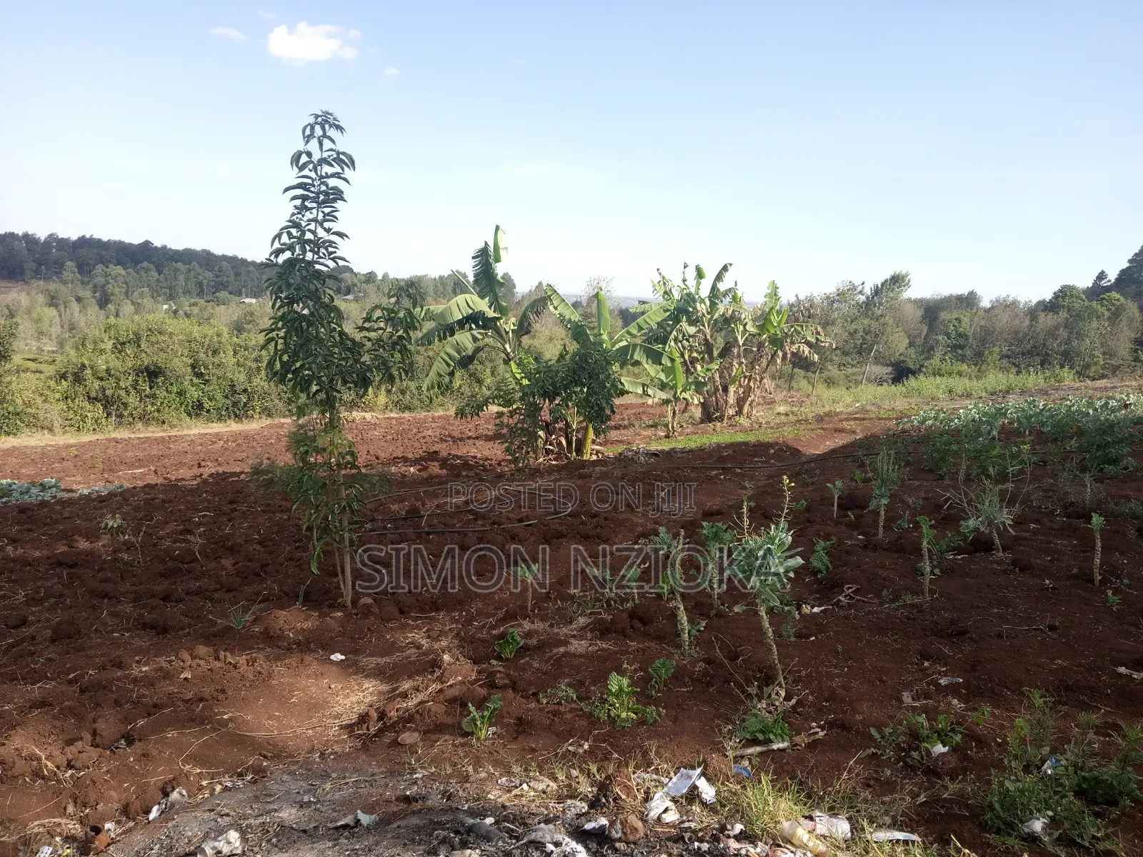 Prime Half an Acre for Sale in Ngong Matasia