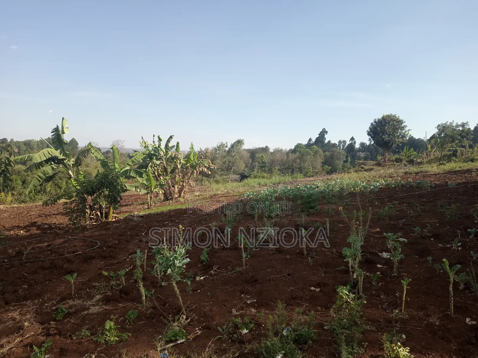 Prime Half an Acre for Sale in Ngong Matasia