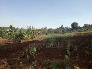 Prime Half an Acre for Sale in Ngong Matasia
