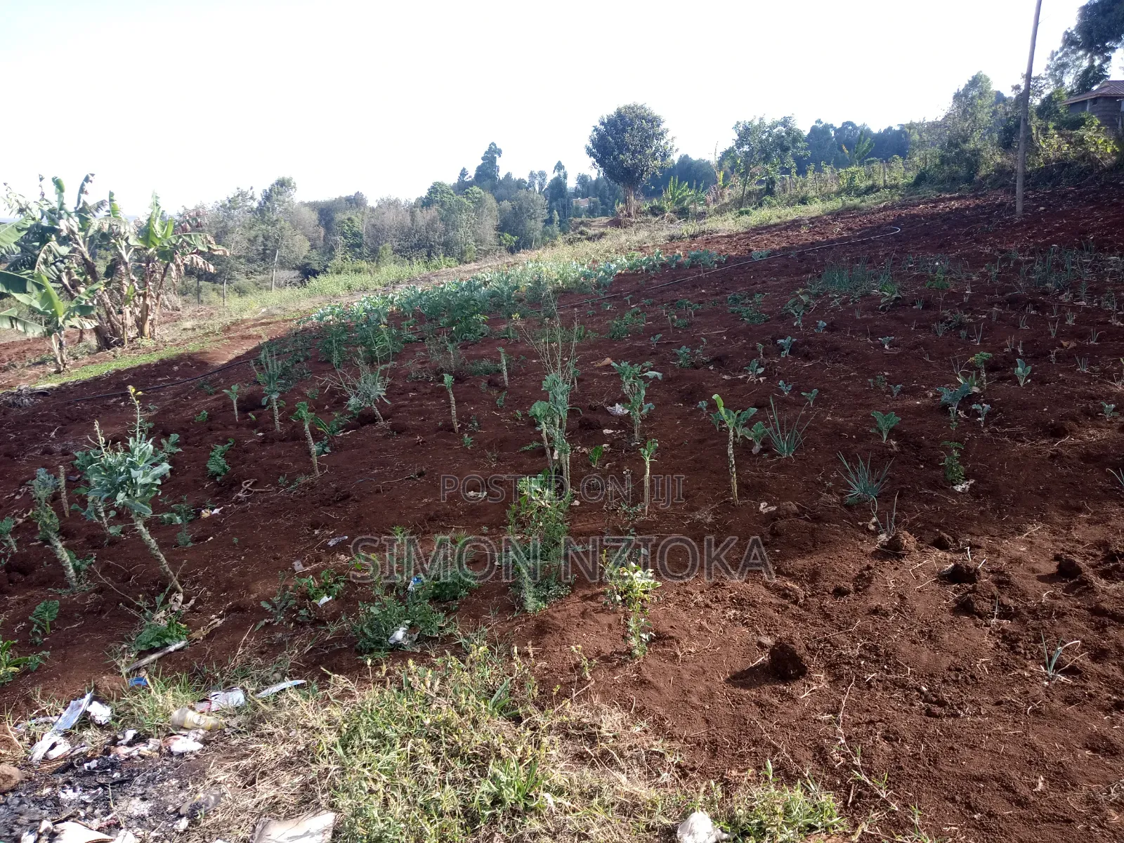 Prime Half an Acre for Sale in Ngong Matasia