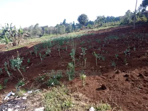 Prime Half an Acre for Sale in Ngong Matasia