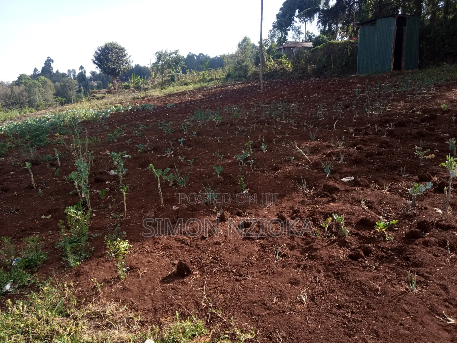 Prime Half an Acre for Sale in Ngong Matasia