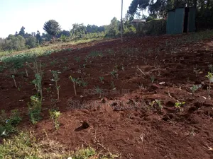Prime Half an Acre for Sale in Ngong Matasia