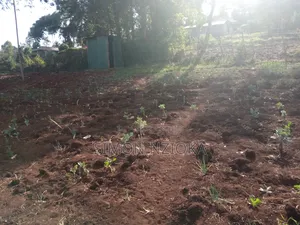 Prime Half an Acre for Sale in Ngong Matasia