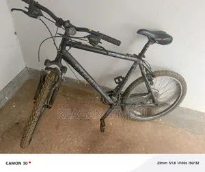 Bicycle for Sale