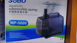 Pond Filter Pump