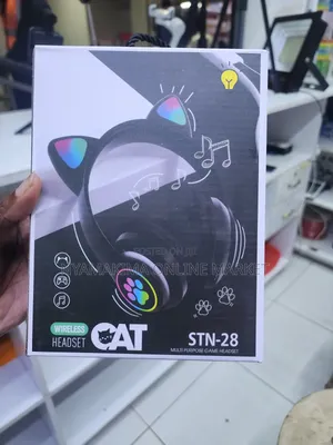 Cat Ear Headphones