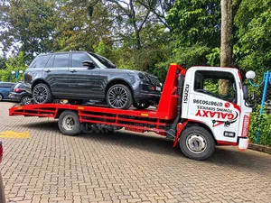 Special Towing and Breakdown Recovery