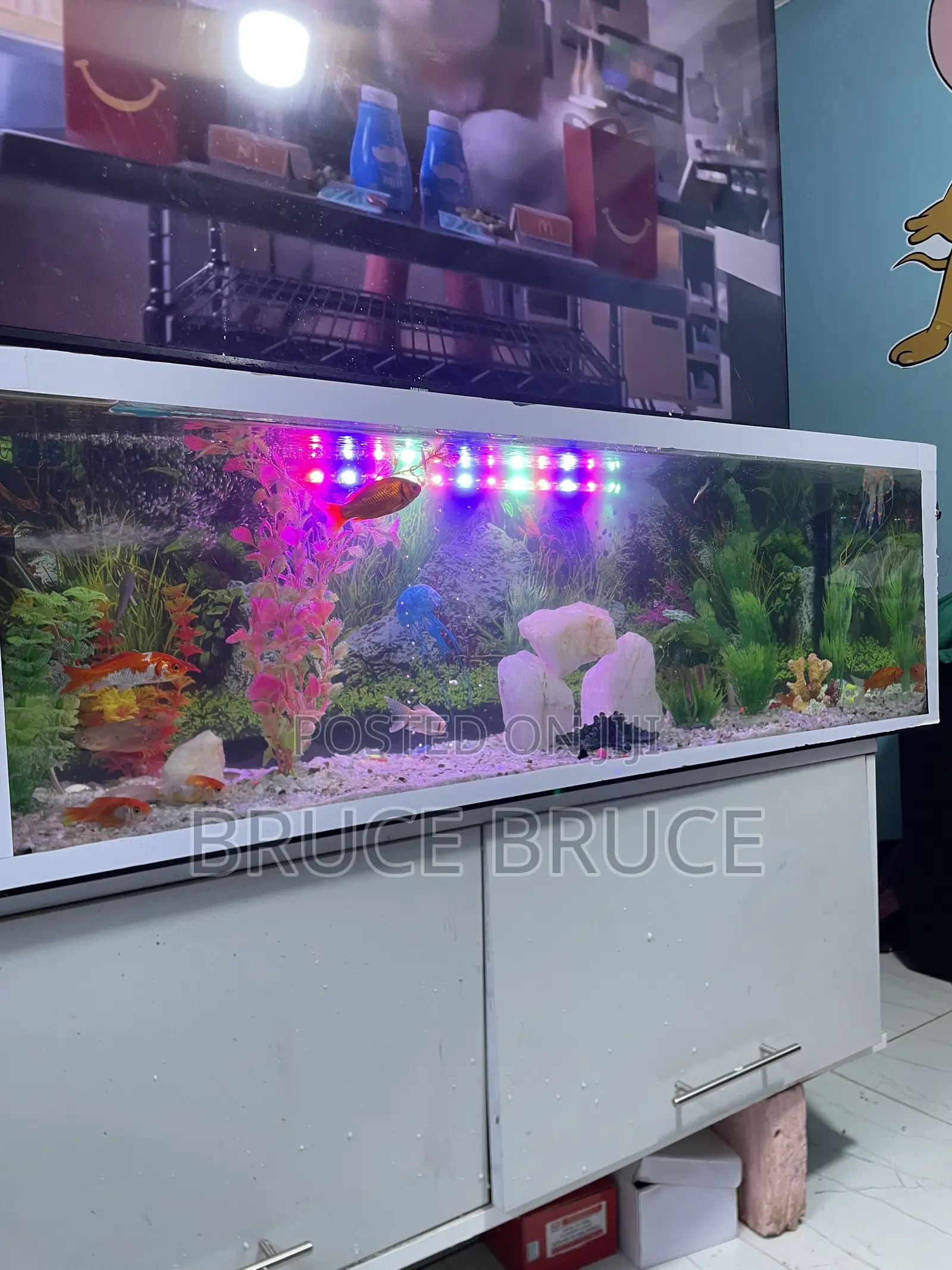 Aquarium Background
