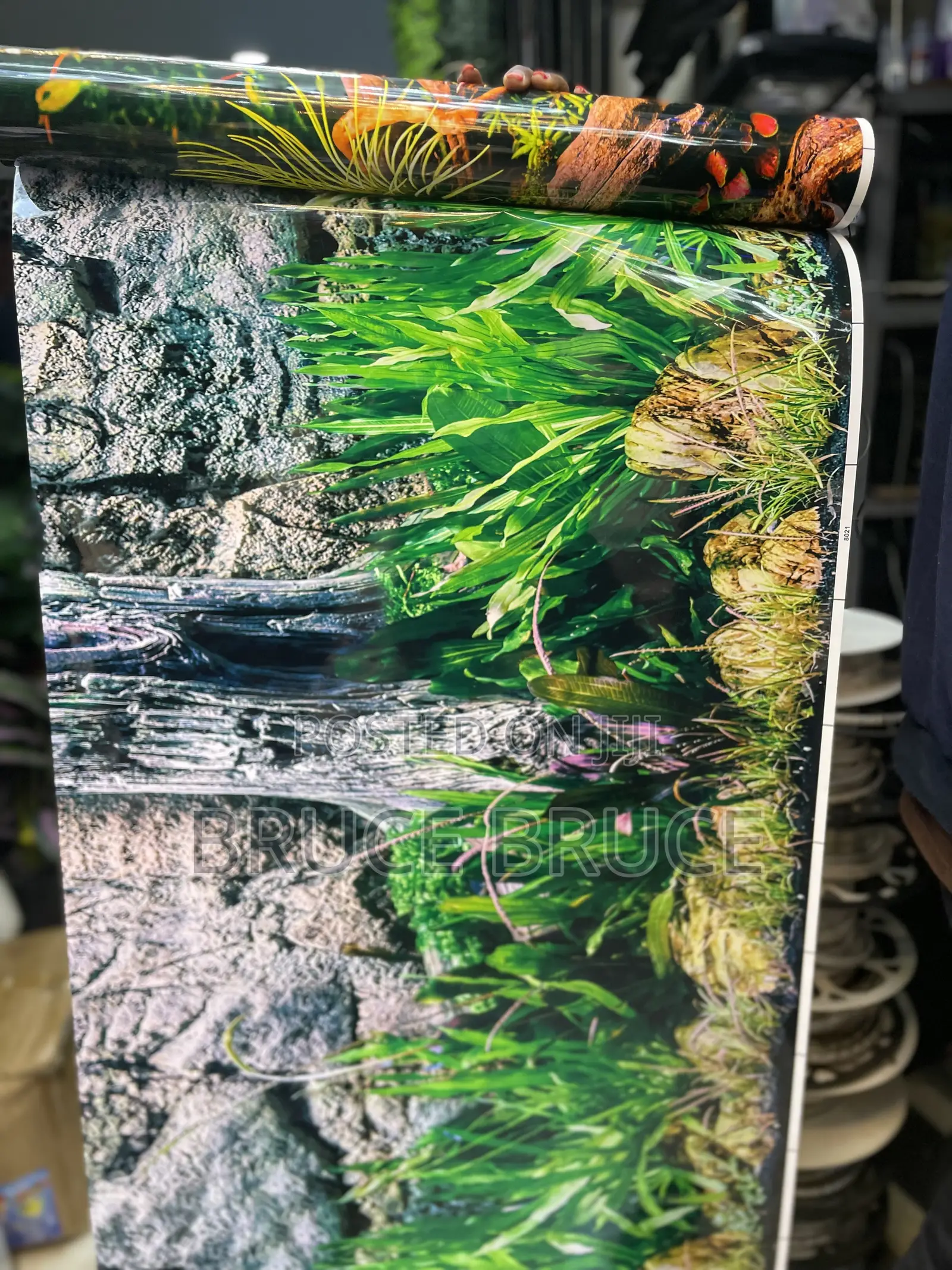 Aquarium Background