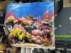 Aquarium Background