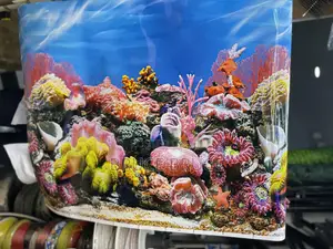 Aquarium Background