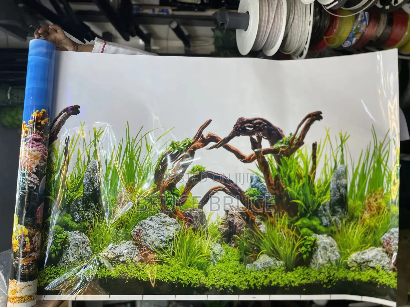 Aquarium Background