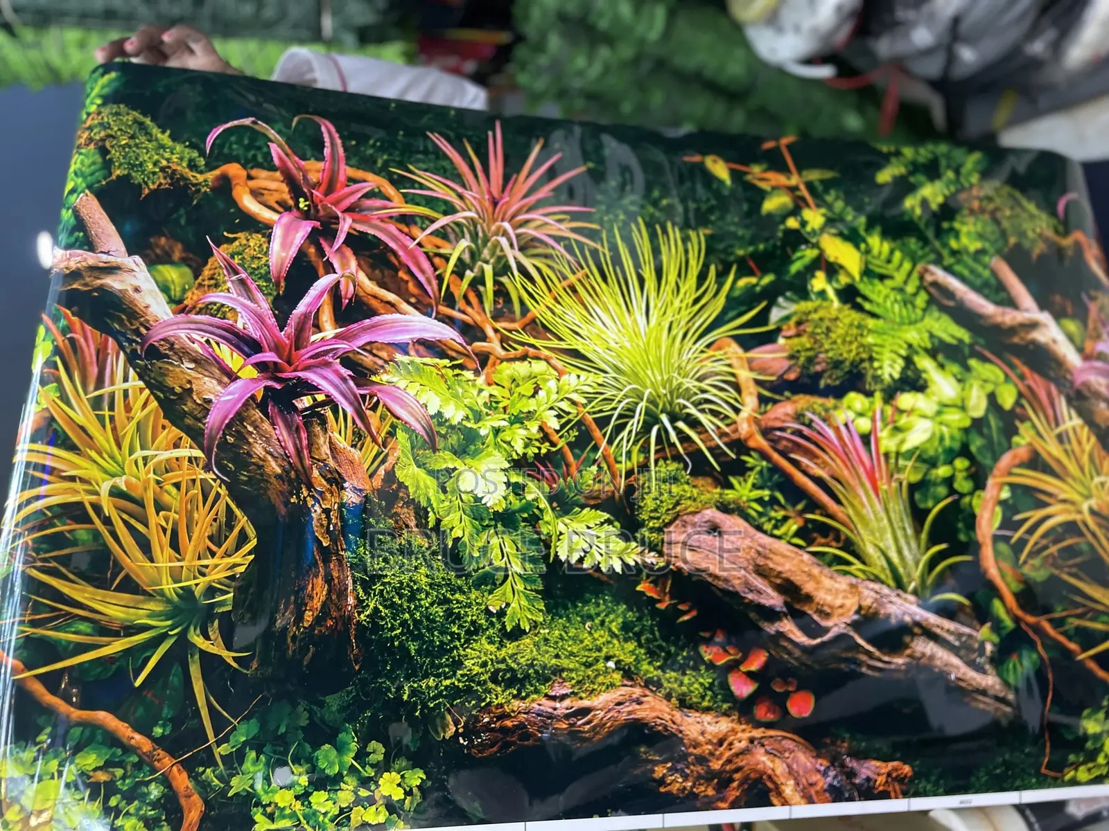 Aquarium Background