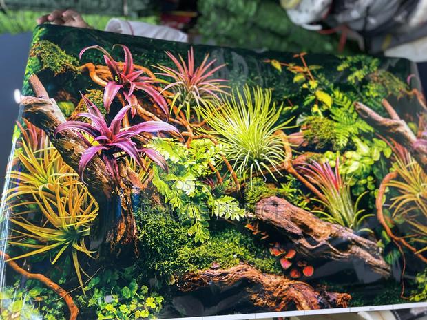 Aquarium Background - thumbnail 9