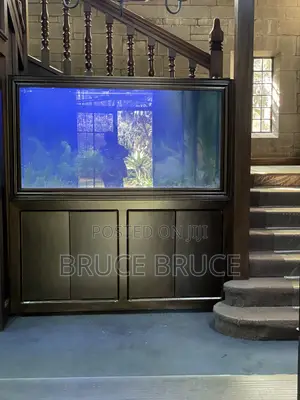 Office Tank