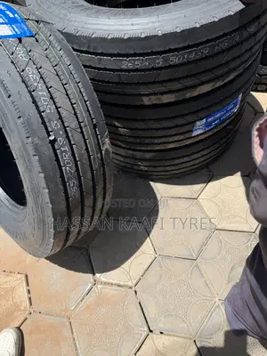 265/70r19.5 Sailun Tyre