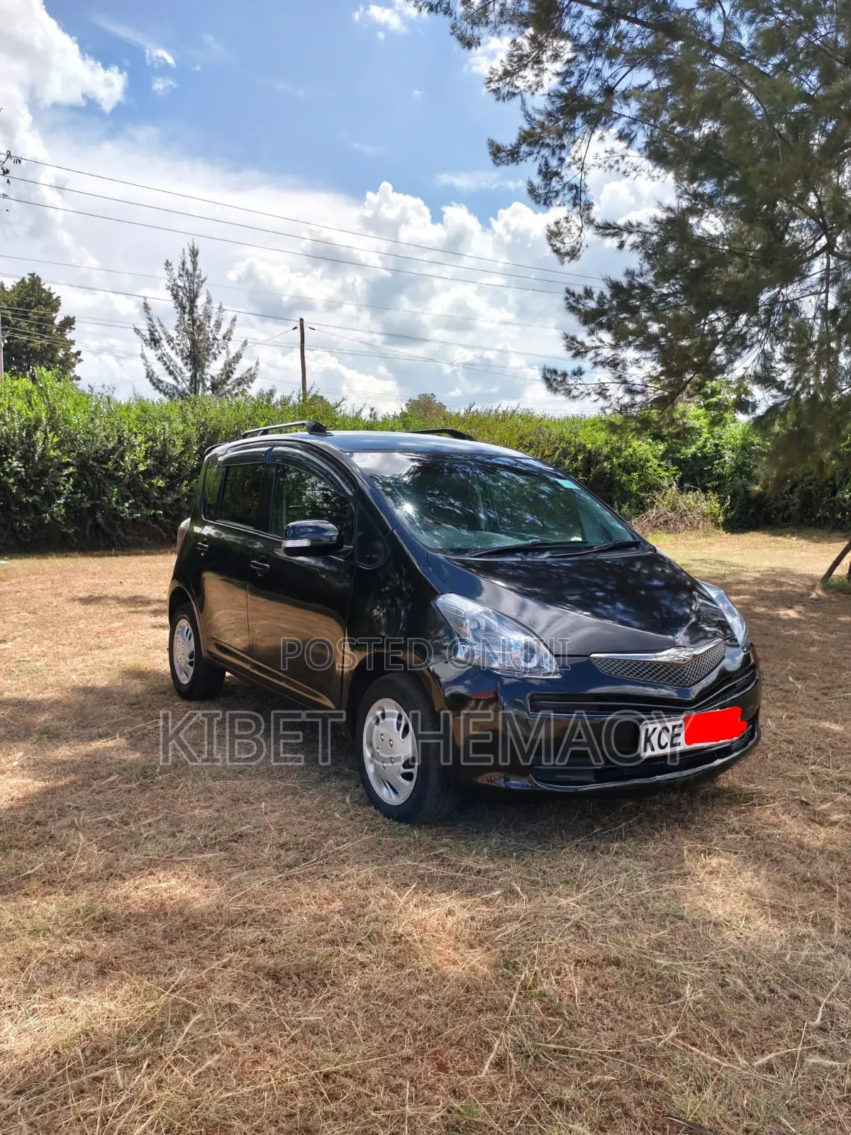 Toyota Ractis 2008 Black