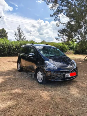 Toyota Ractis 2008 Black