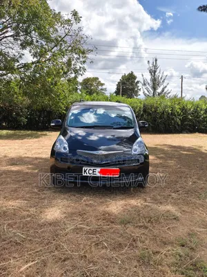 Toyota Ractis 2008 Black