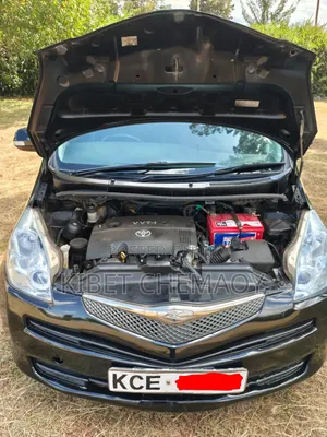 Toyota Ractis 2008 Black