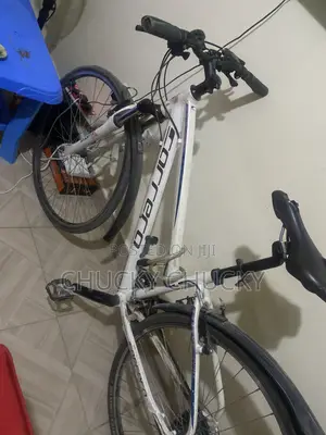 I Want to Sell My Bicycle