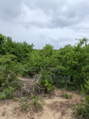 Land for Sale Kwale Kundutsi 8.1acres