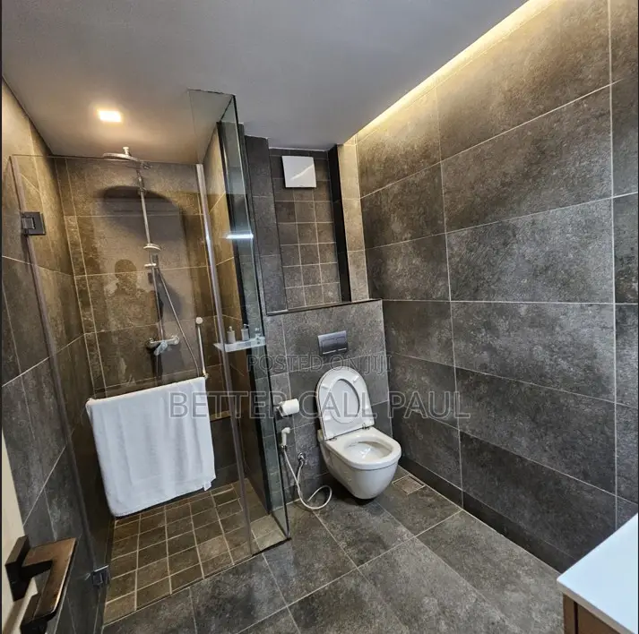 Furnished 3bdrm Apartment in Purple Haze, State House Area for rent