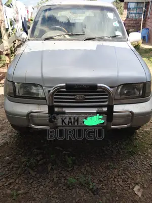 Kia Sportage 1994 Silver