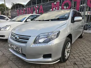 Toyota Corolla Fielder 2009 Silver