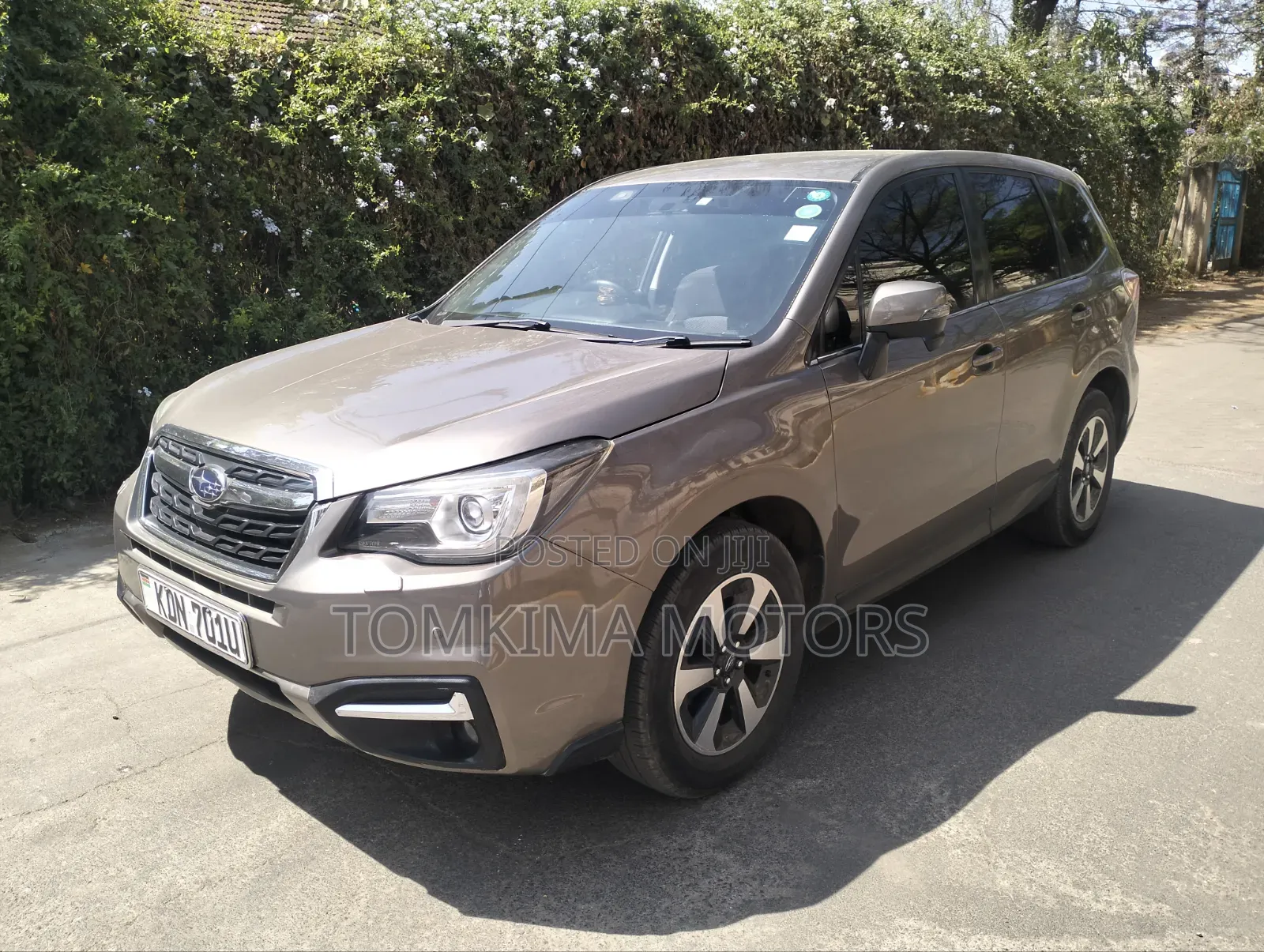 Subaru Forester 2015 Gray