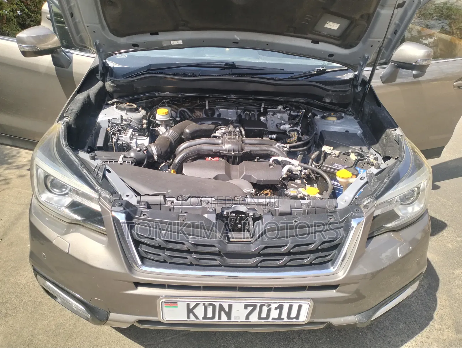Subaru Forester 2015 Gray