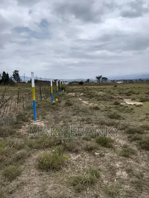 Seven Height
