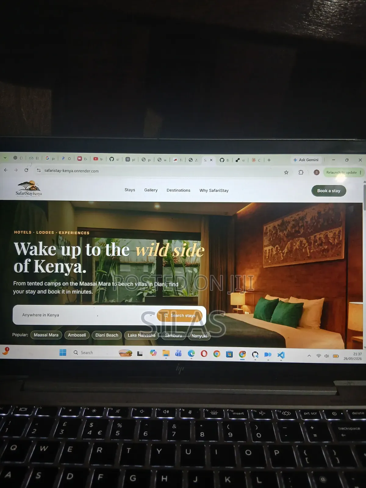 Professional Website Designer | E-Commerce, M-Pesa Booking Systems