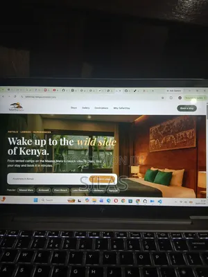 Professional Website Designer | E-Commerce, M-Pesa Booking Systems