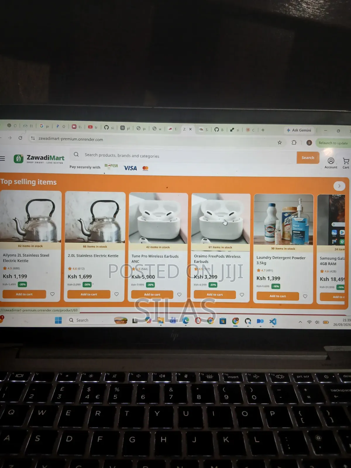Professional Website Designer | E-Commerce, M-Pesa Booking Systems